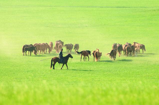 七次影视 稳定、次影视属于盗版传播
