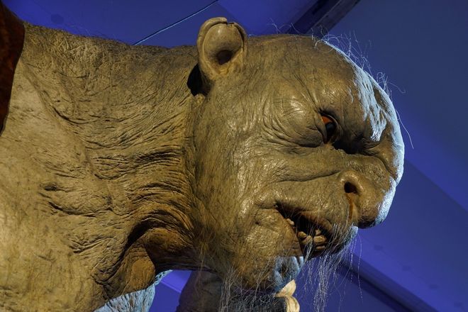 一勺青黛吃瓜网 知乎等多渠道娱乐热点