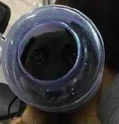 51吃瓜网入口官网