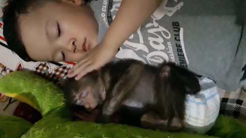 99热这里只有精品国产