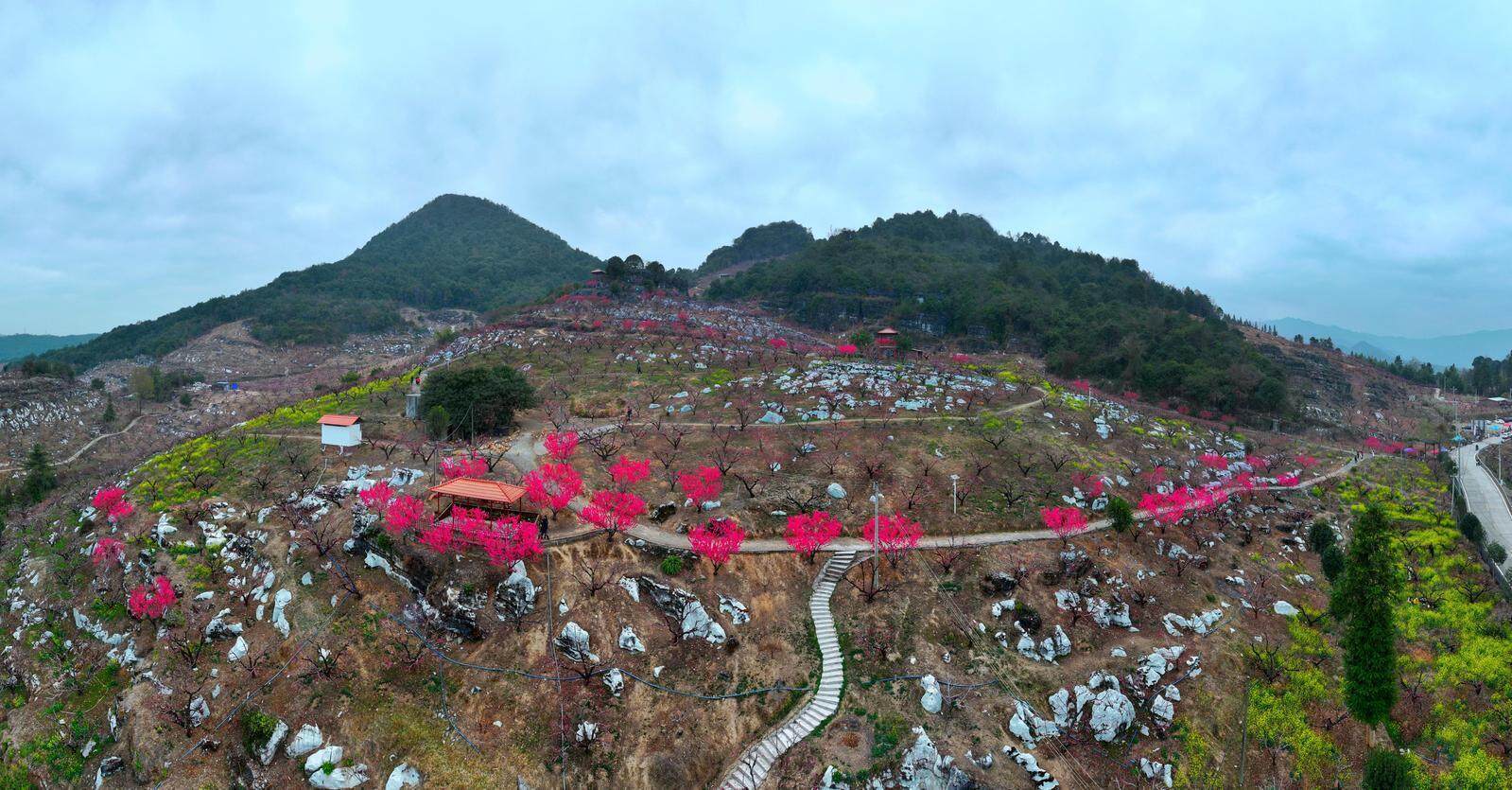 动漫3d搜索大全 关注制作公司:例如