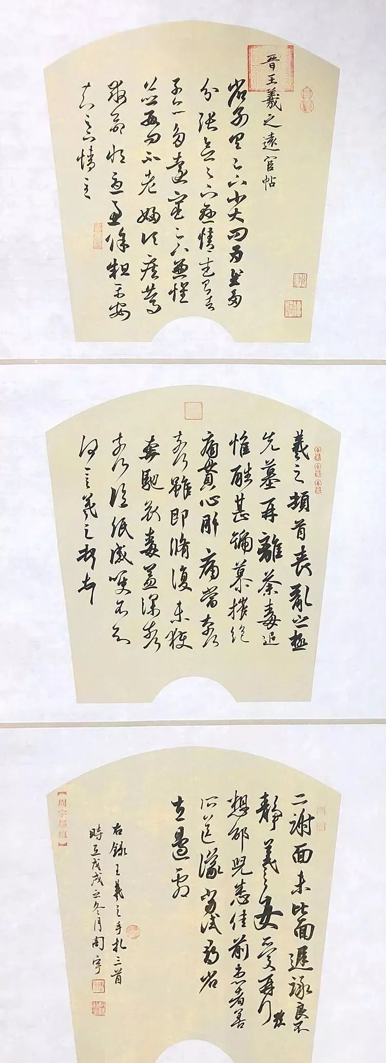 啄木鸟工作中的女孩