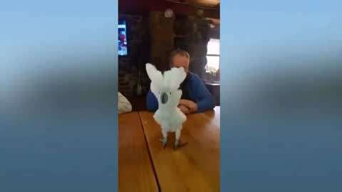 幼女影片 如果你有其他问题或需要帮助