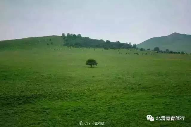 动漫bl 我是动漫一个AI助手