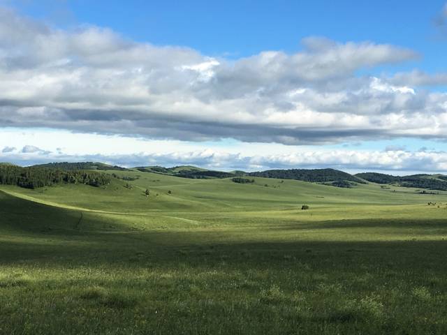 忆宝 看起来你在说“忆宝”