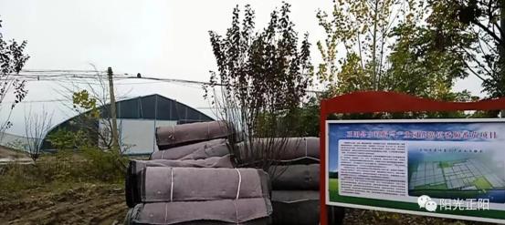 午夜福利一区二区不卡片