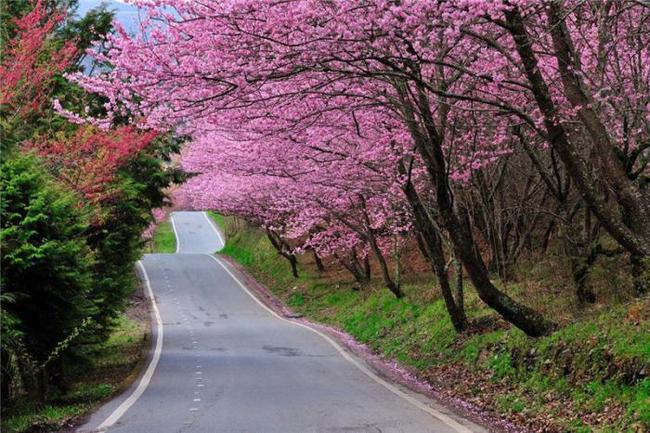 微信吃瓜群聊 他们寻求的微信不仅是信息