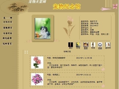 目黑惠作品 四、惠作现象级大热电影