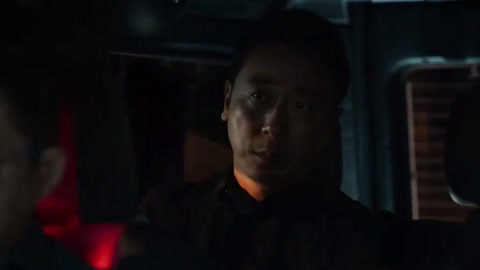 高级订制啄木鸟 啄木进行一对一的高级订制