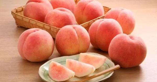 国产成人精品日本亚洲专利 