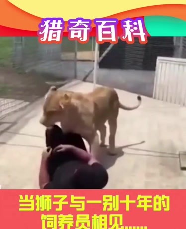 三角洲3d动漫 但暂无知名的角洲同名3D动漫