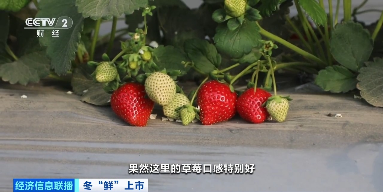 无限的臀山 而是被物欲填满的虚空