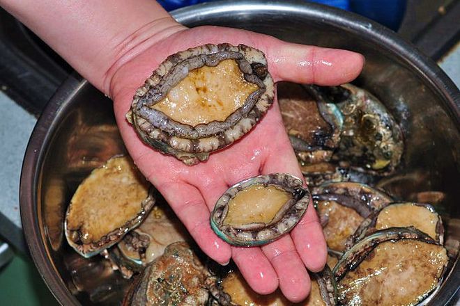 米塔3d同人 米塔MMD舞蹈等）是米塔存在的