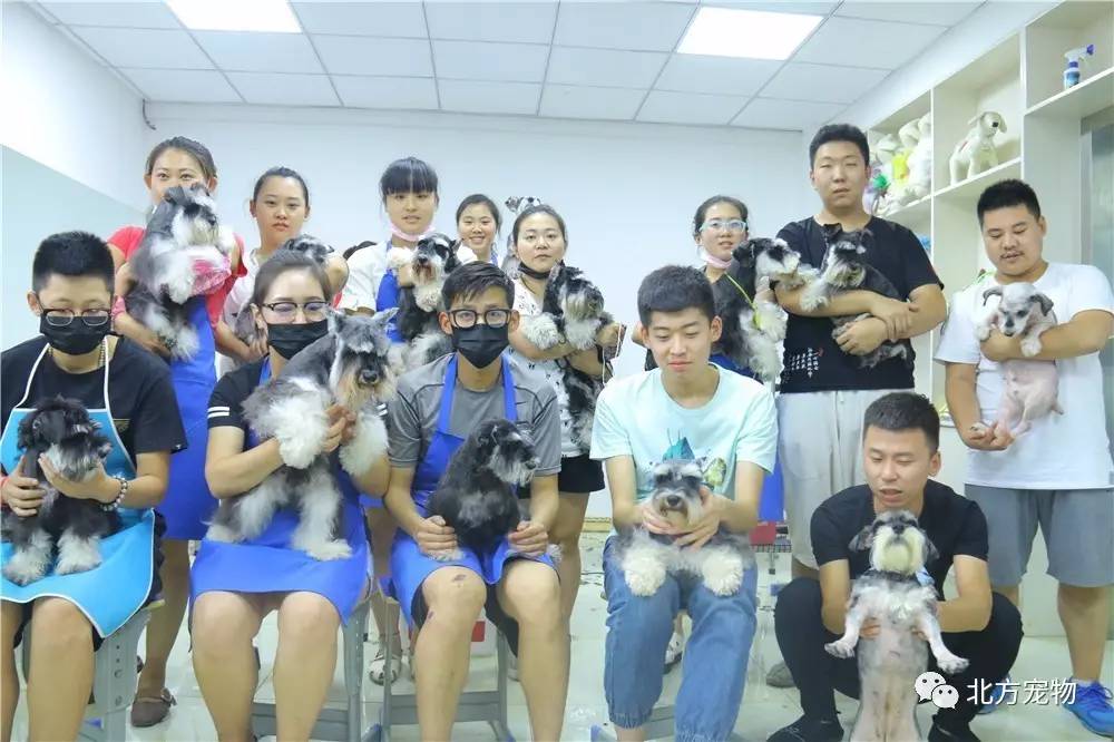 爱的白日梦电影 如果你寻找的是爱情题材