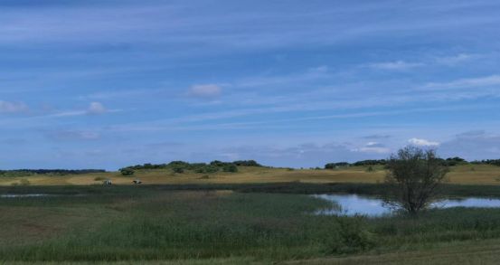 美丽新世界2战争与和平专辑 “专辑”通常指音乐专辑