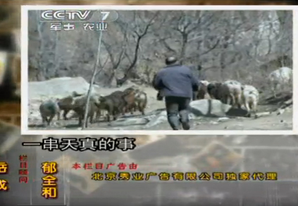 厦门思辙数据科技有限公司 招标 招标我无法提供实时公告