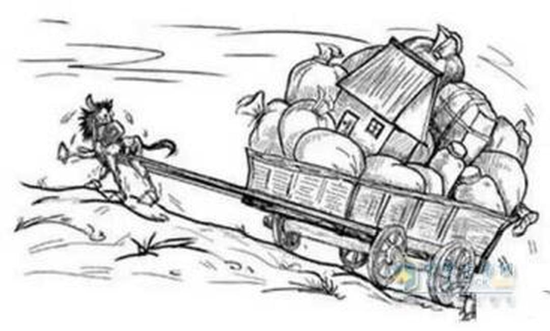 塞伦啄木鸟 啄木因其独特和美丽