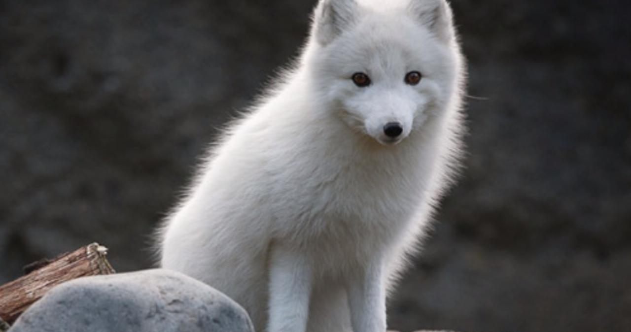 每日大赛更新入口 截止时间等多维度分类