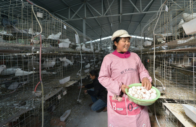 里番特摄 番特摄正规的番特摄特摄剧