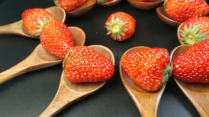 99精品视频在线观看免费