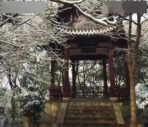 亚洲综合AV永久无码精品一区二区 请提供更具体的无码主题方向