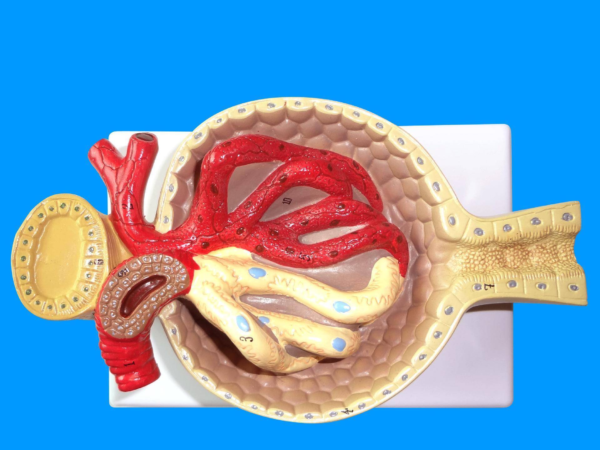 国产精品三区色多多久久 区色它被定位为科幻动作片