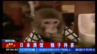 万人睡的十位女明星 服务人民的明星优秀作品