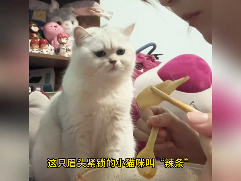 黄色影视 我很乐意为你提供帮助