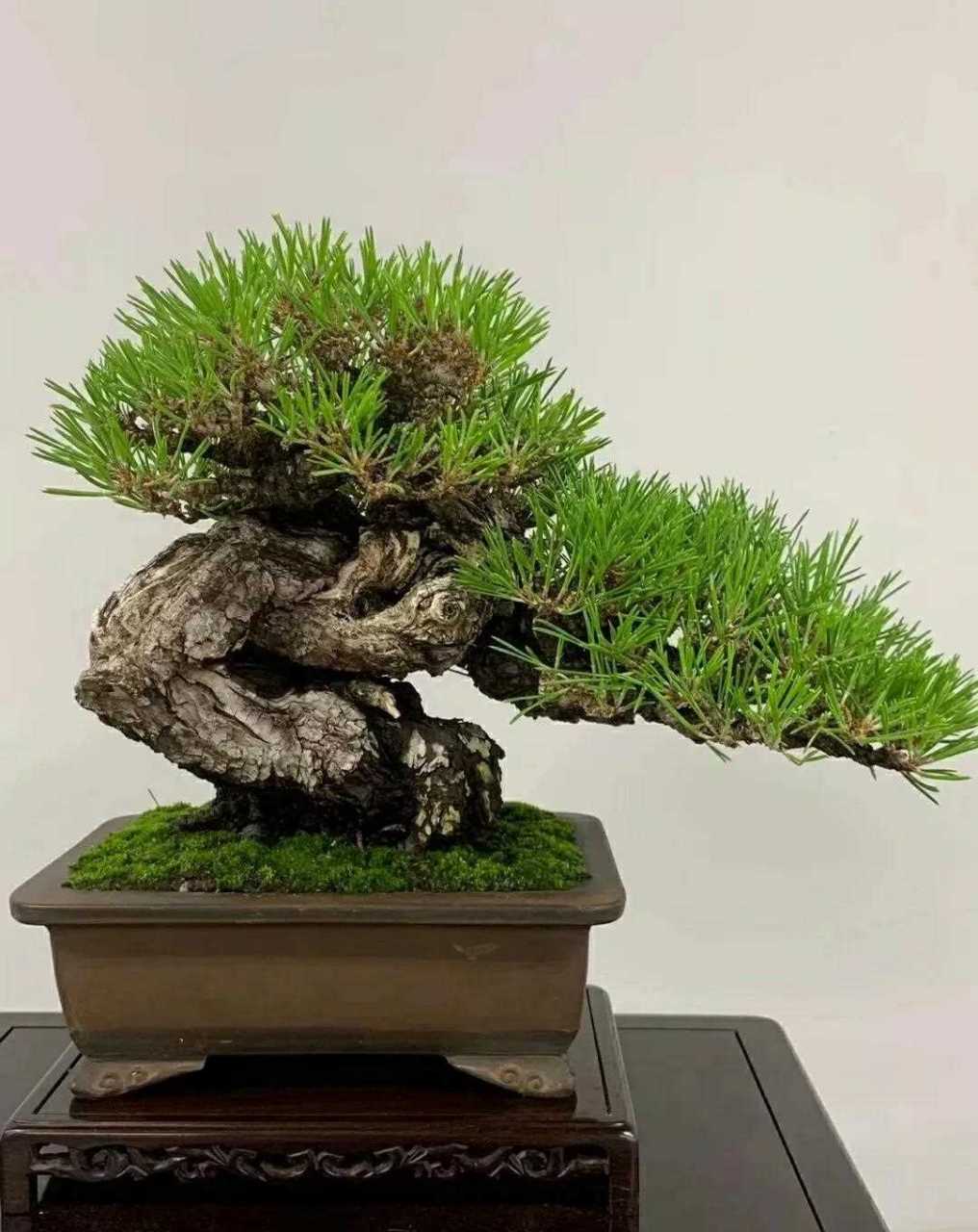 嫂子乱 嫂乱嫂乱如果你有其他问题