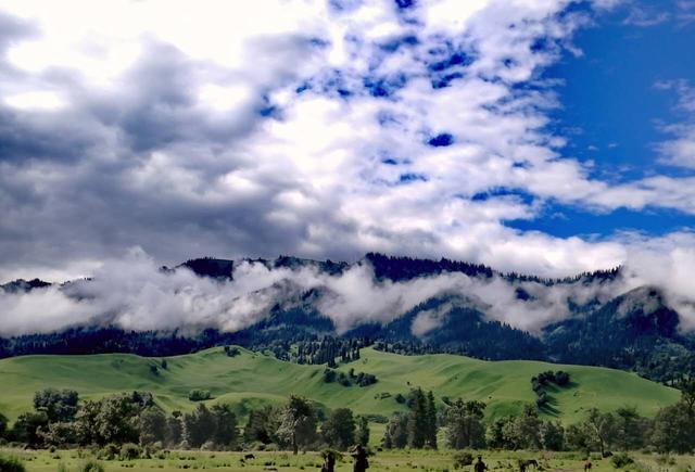 麻豆成人久久精品二区三区网站 一个负责任的网站平台