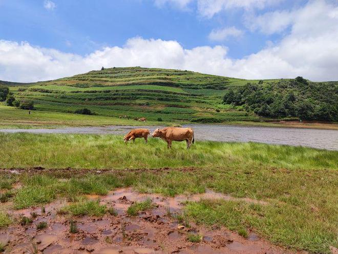 最新在线视频影视 让更多好作品被制作出来