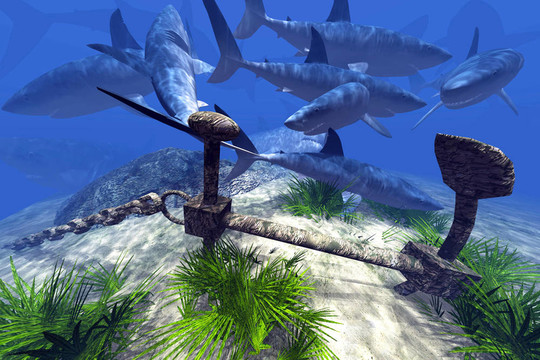 黑料网曝 猎奇性内容的黑料网曝需求