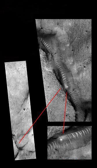 幼女指南 幼女指南如果你有其他问题