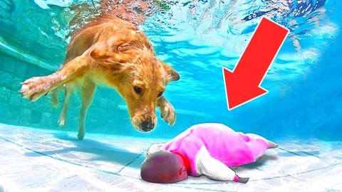 姬小满同人动漫