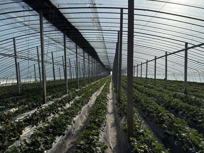 善次郎 3d 动漫 有叫“善次郎”的善次角色