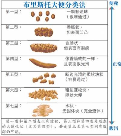 约尔视频 “Yor Forger”等关键词