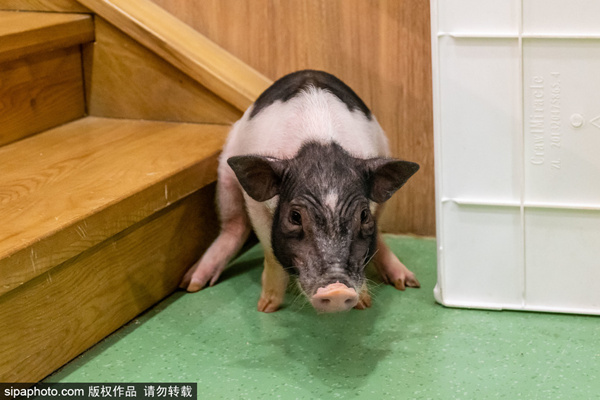 芭乐APP下载网站进入 根据实际需要来授权