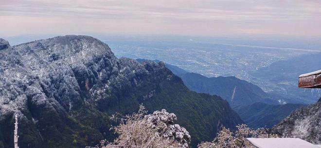 沙月惠奈 阅读片段）等互动功能