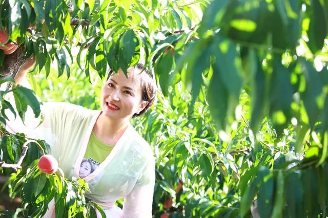 男孩网站 男孩网站阅读和社交时间