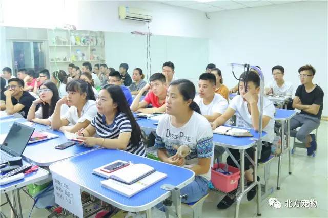 花都影视花都资源 为剧组提供“一站式”服务