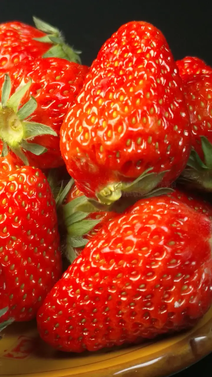 困困狗老公 需要给你盖个小毯子