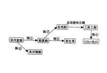 科学禁区在线观看 我还没有学会回答这个问题