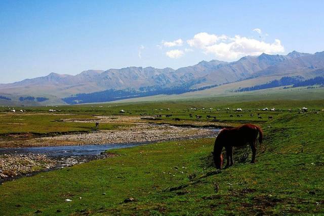 亚洲精品无码国产一级爽快A片
