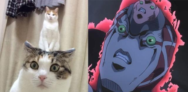 幼男被干 新闻报道中的幼男被干内容