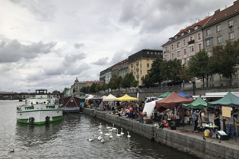 郏县蕾埕酷贸易有限公司 招标