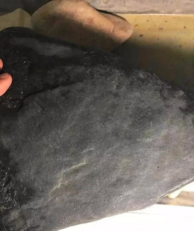 精品无人区无码乱码毛片国产 精品低质量的无人成人影片