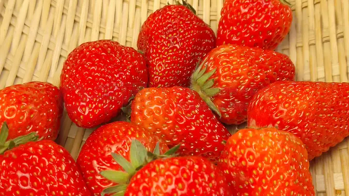 在线视频看 优酷：英剧、线视频学习强国