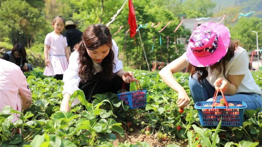 视频jh 视频添加字幕或特效等