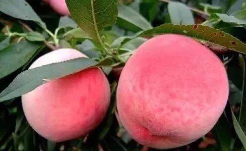 福利社老湿机三分钟