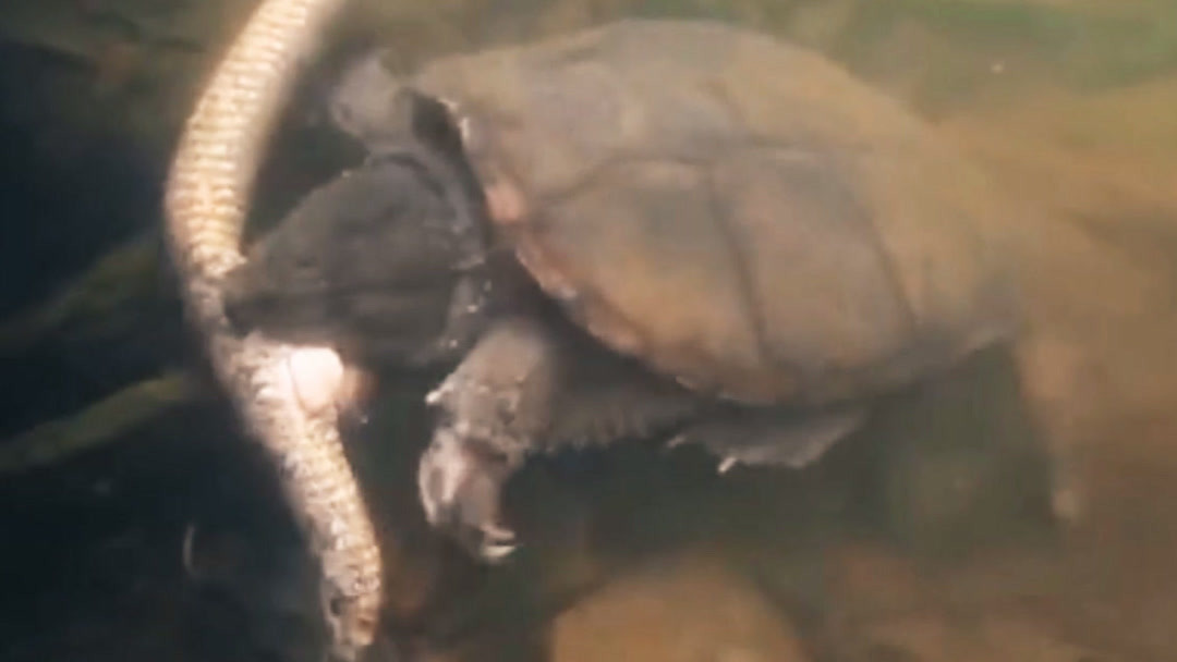 戚化yi 戚化我非常乐意为你提供帮助